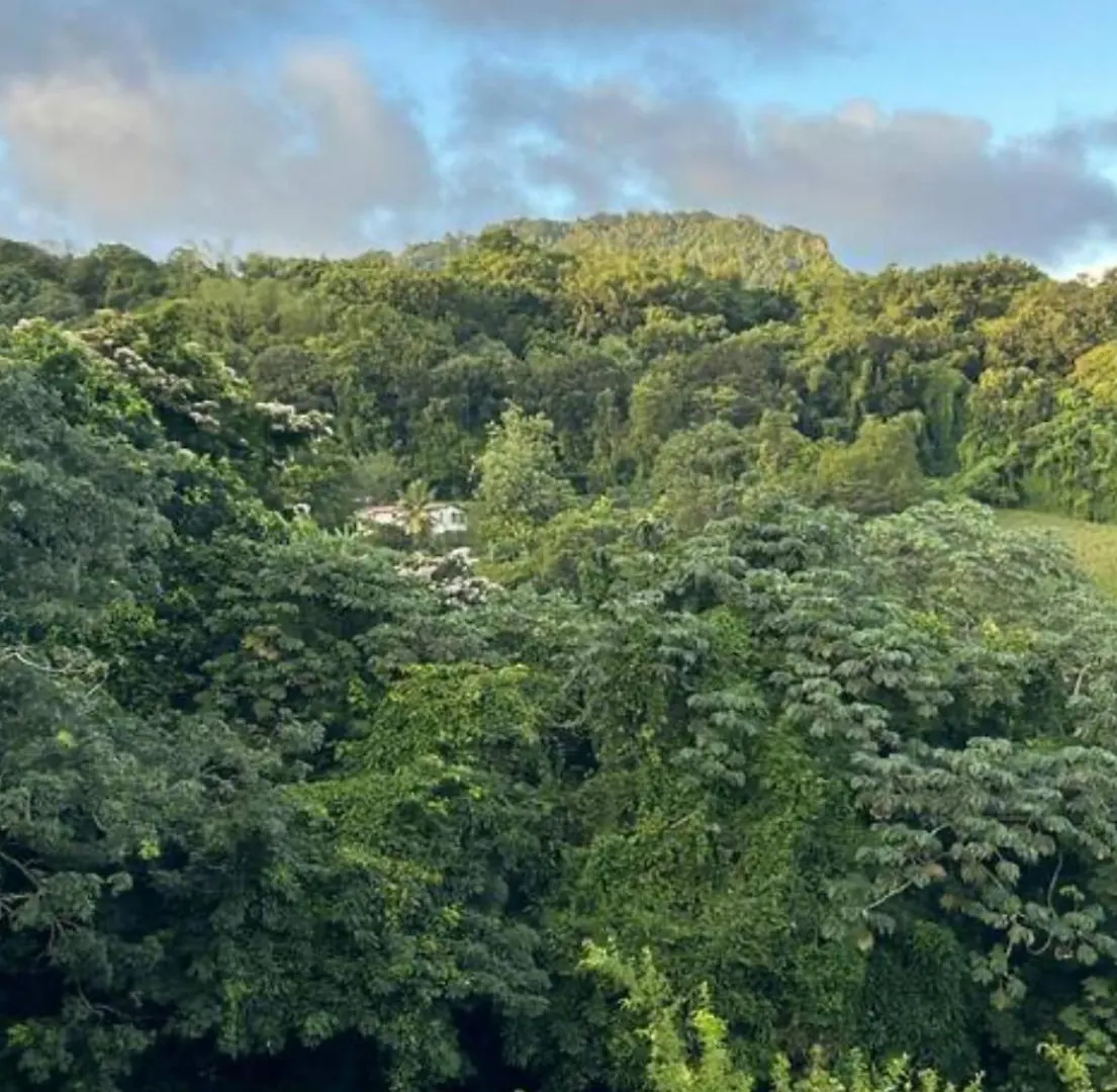 Appartement Niche Dans La Verdure à Rivière-Pilote